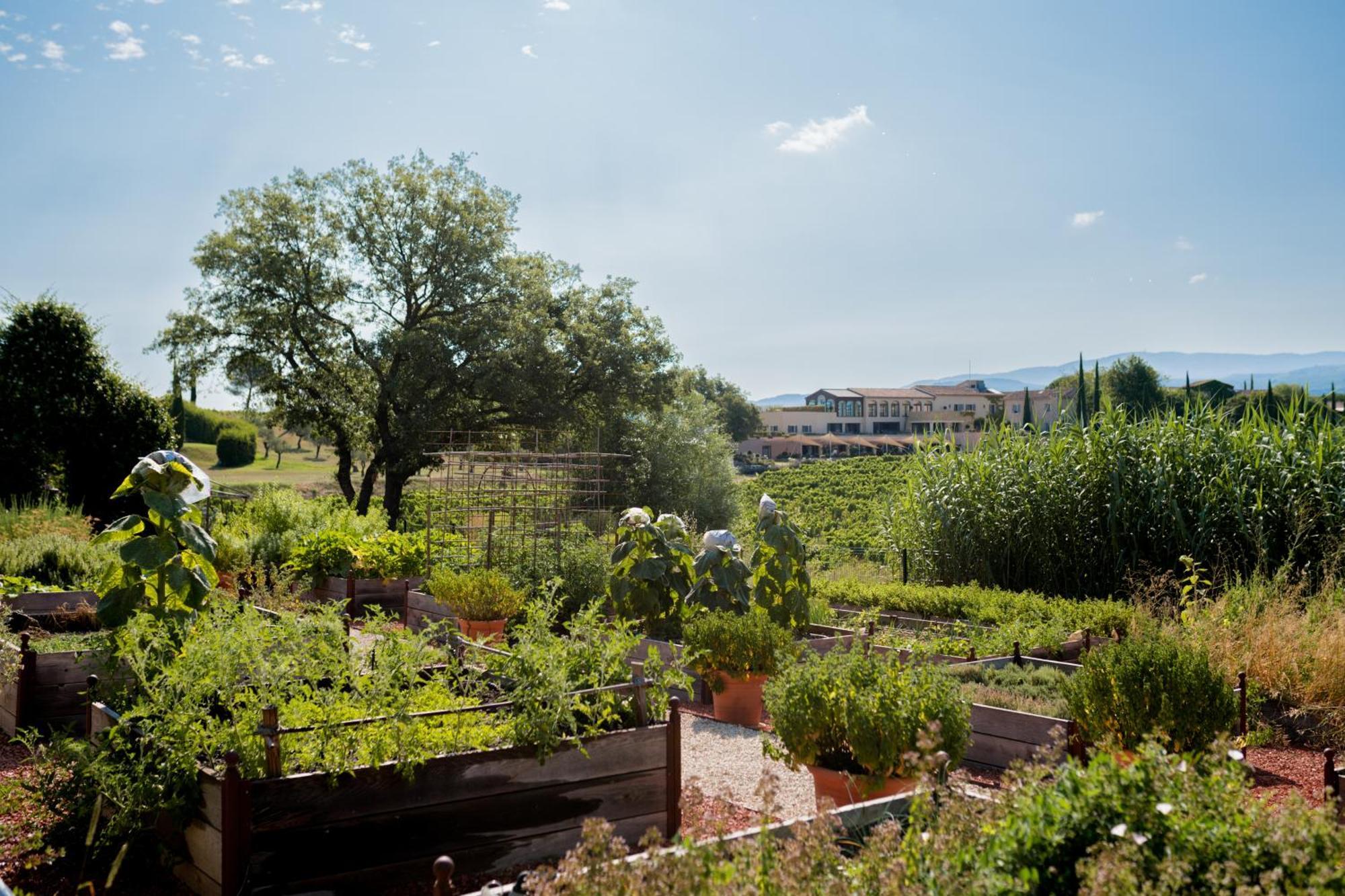 Coquillade Provence Hotel Gargas  Exterior foto